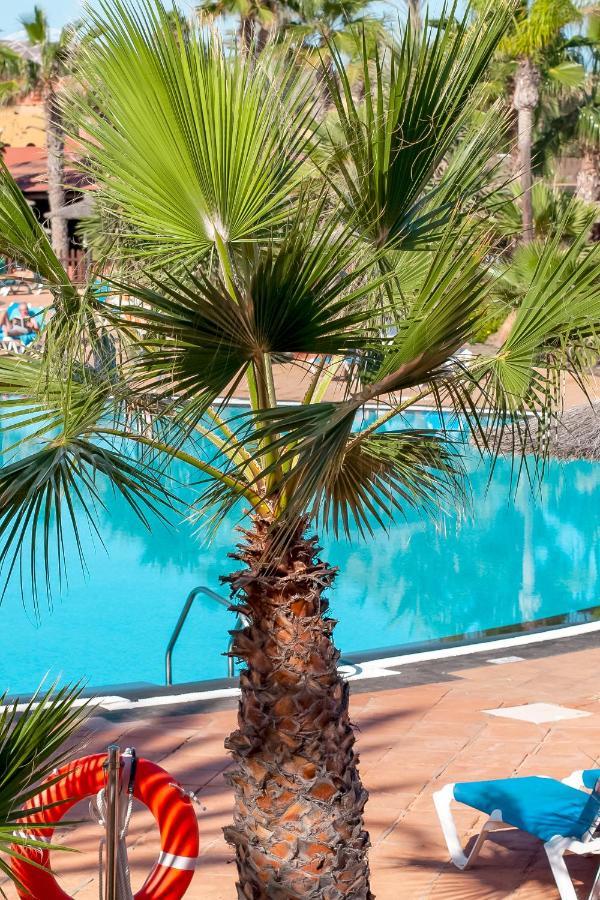 Oasis Fuerteventura Beach Apartments Corralejo Exterior foto